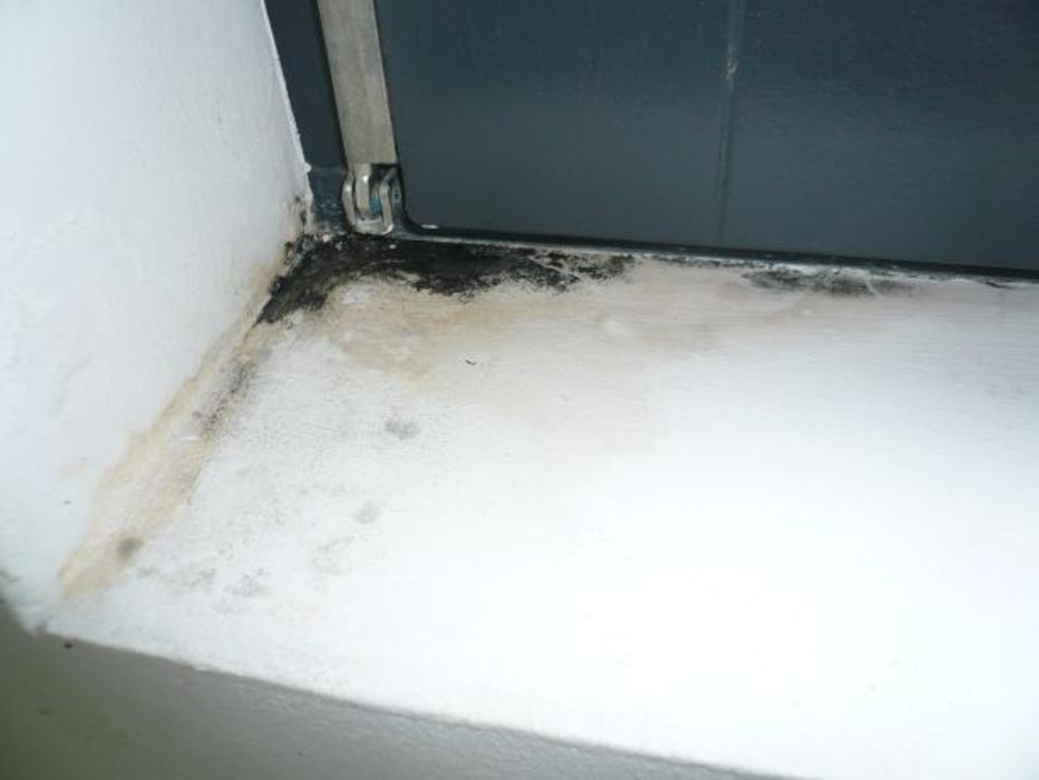 Bilder Baubiologie Wirth Ingenieurbüro für Baubiologie und Umweltanalytik