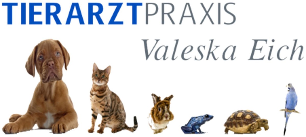 Tierarztpraxis Valeska Eich Logo