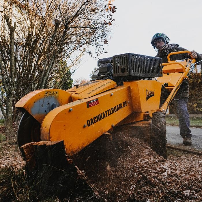 Bilder Oachkatzl Buam GmbH - Gartenpflege | Baumpflege | Gartenbau