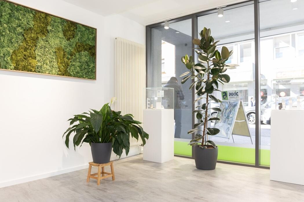 Bilder auric Hörcenter Kaiserslautern Mitte