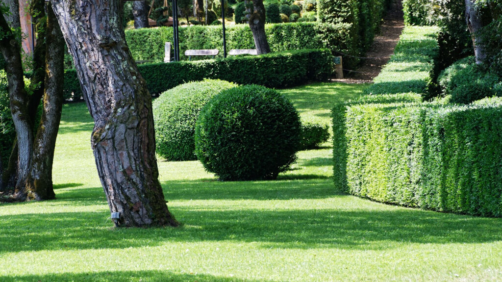 Bilder Immergrün Pool-, Garten- und Umwelttechnik