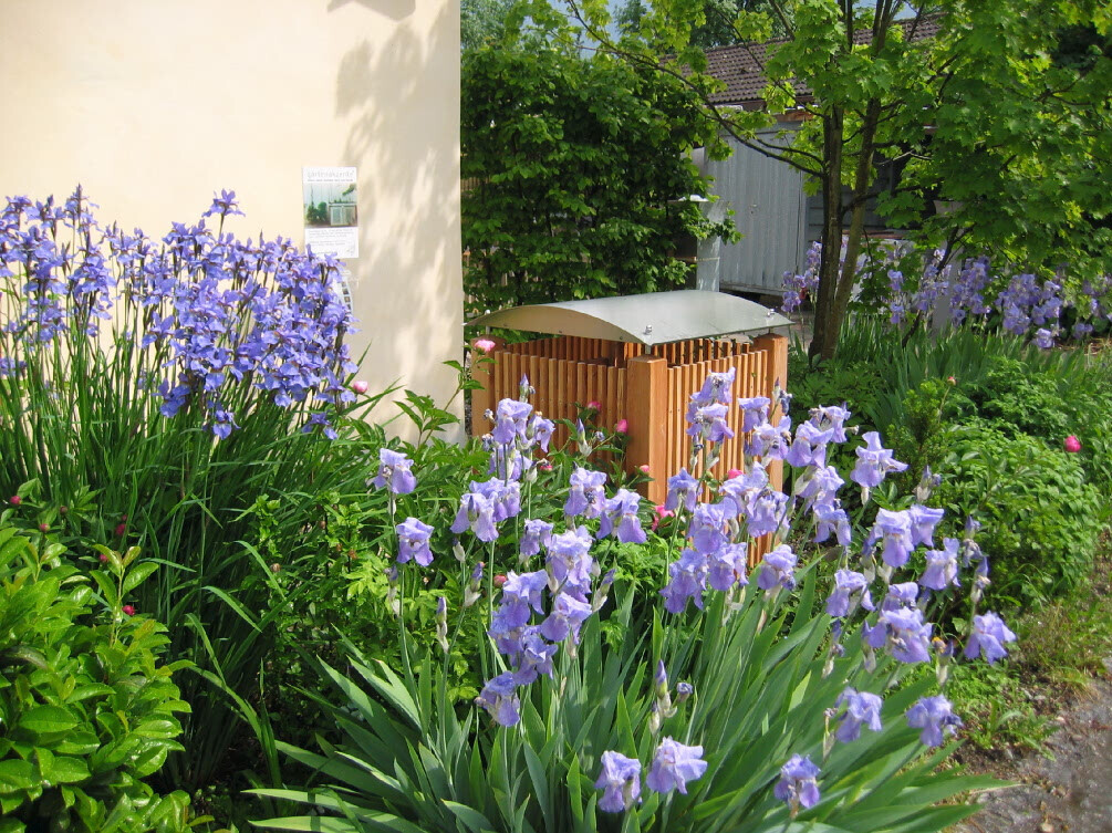 Bilder Immergrün Pool-, Garten- und Umwelttechnik