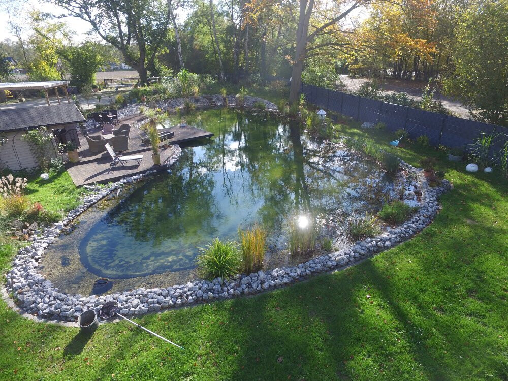 Bilder Immergrün Pool-, Garten- und Umwelttechnik