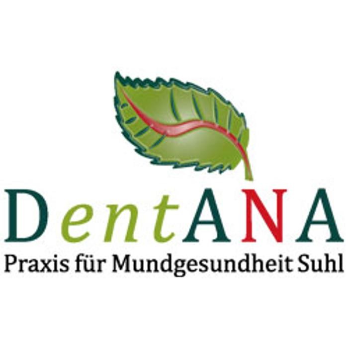 DentANA - goDentis Dr. med. dent. Dana Triebel-Regenhardt Zahnärztin Logo