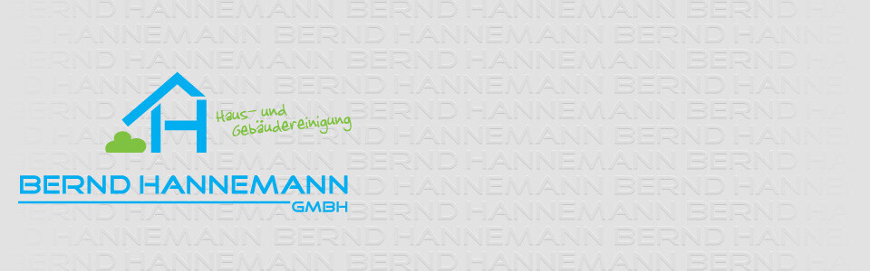 Bernd Hannemann GmbH Logo
