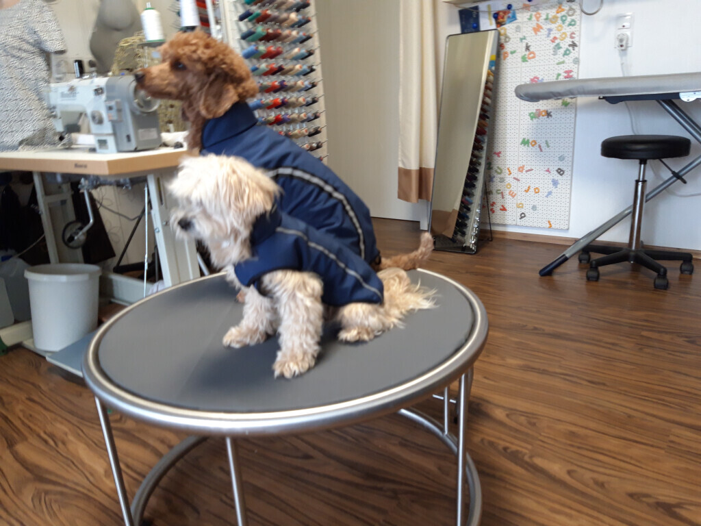 Bilder Das Nähstübchen