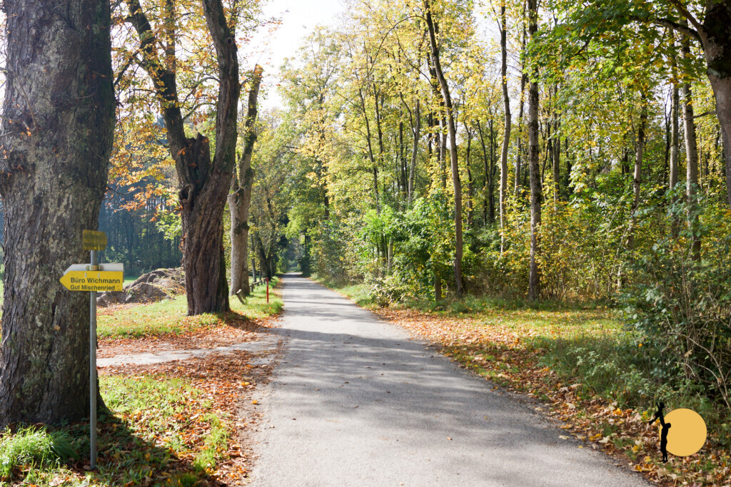 Bilder Wanderreitstation Gut Mischenried GmbH