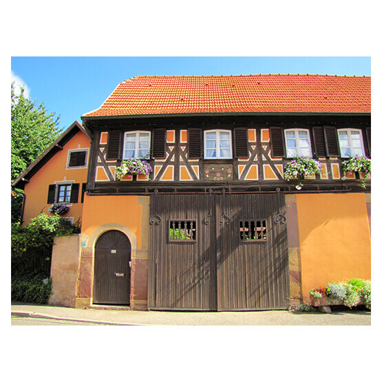 Bilder DTD GmbH Bedachungen & Zimmerei
