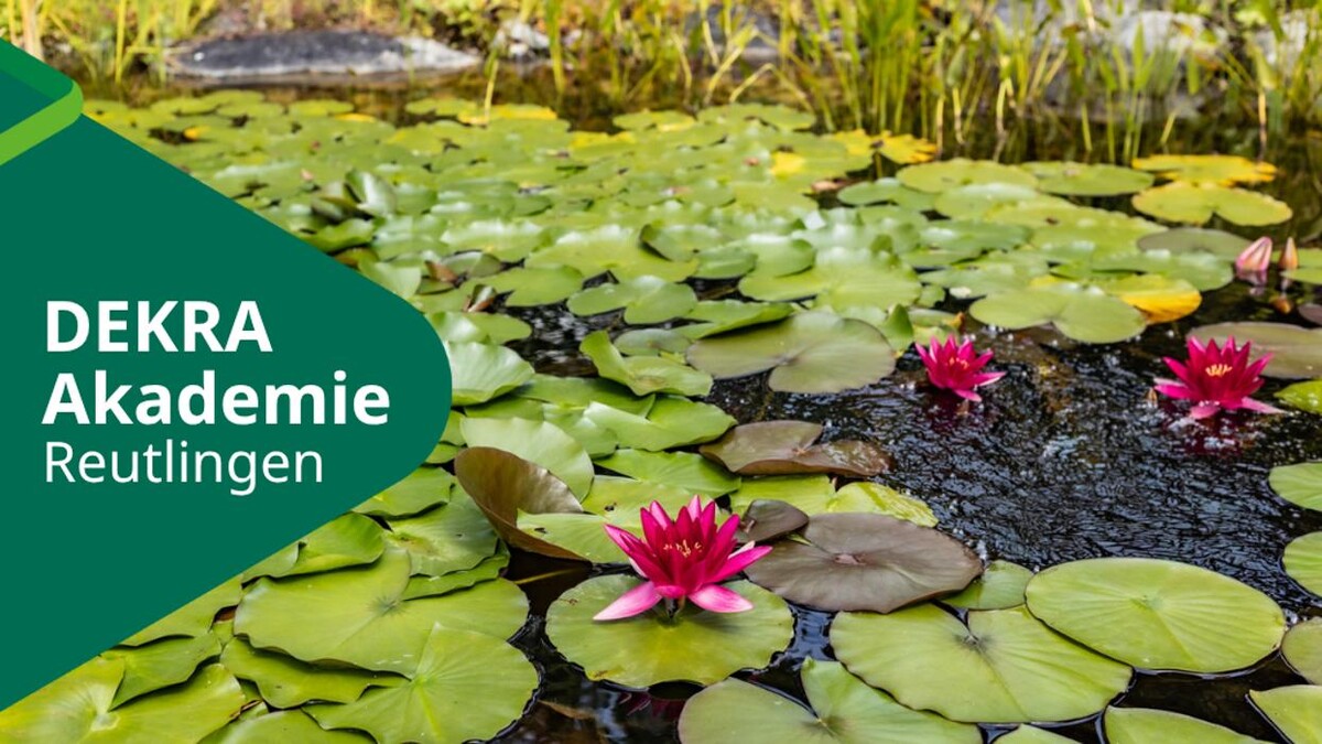Bilder DEKRA Akademie Reutlingen