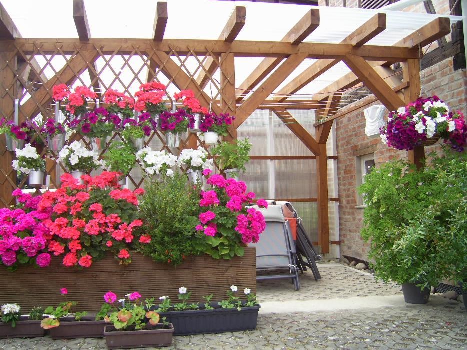 Bilder Ferien-/ Monteurwohnung Nette