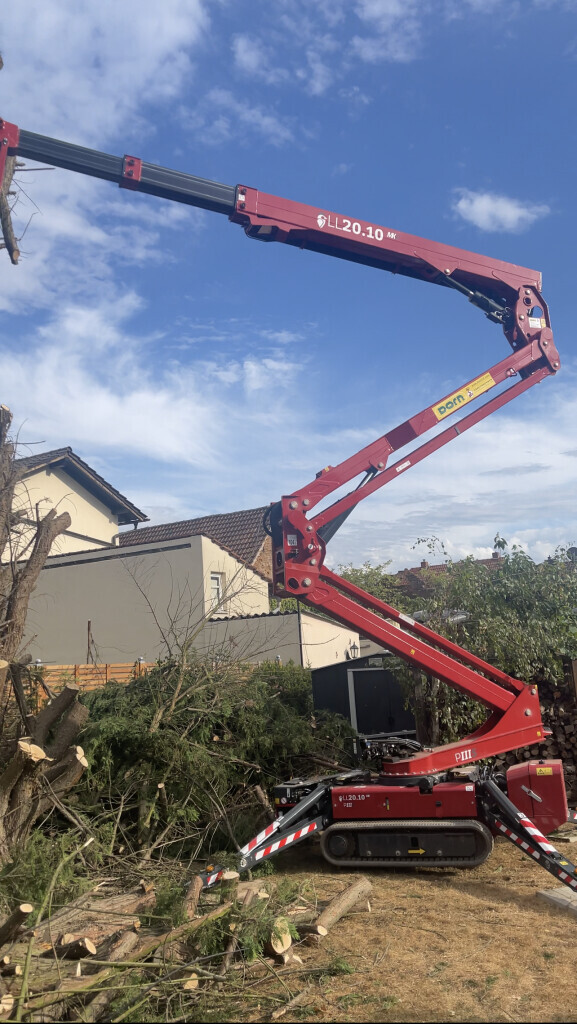 Bilder Garten- und Landschaftsbau Aliu