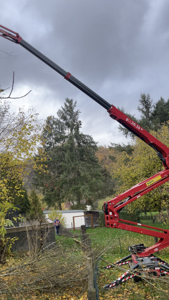 Bilder Garten- und Landschaftsbau Aliu