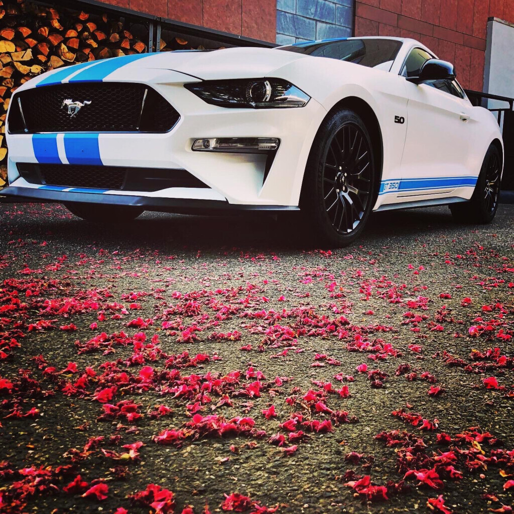 Bilder TWOinONE Werbetechnik + Folierung