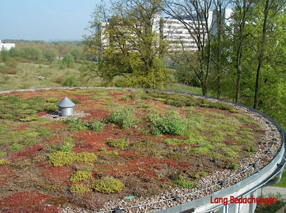 Bilder Lutz Lang GmbH & Co KG