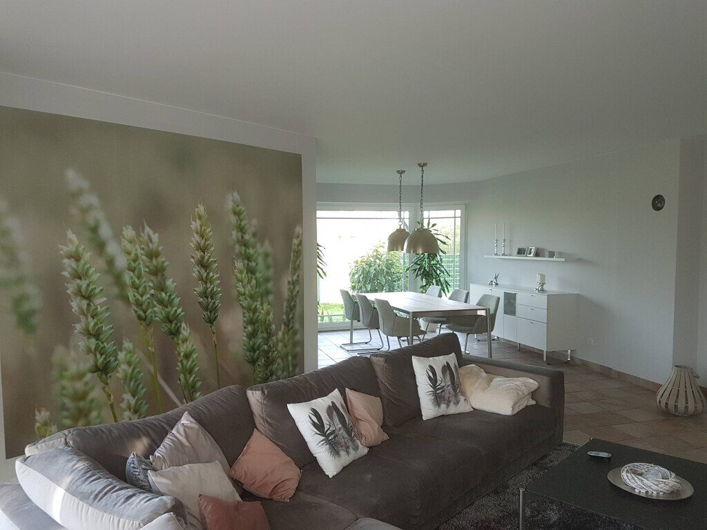 Bilder Thomas Siekmann Maler- und Lackierermeister