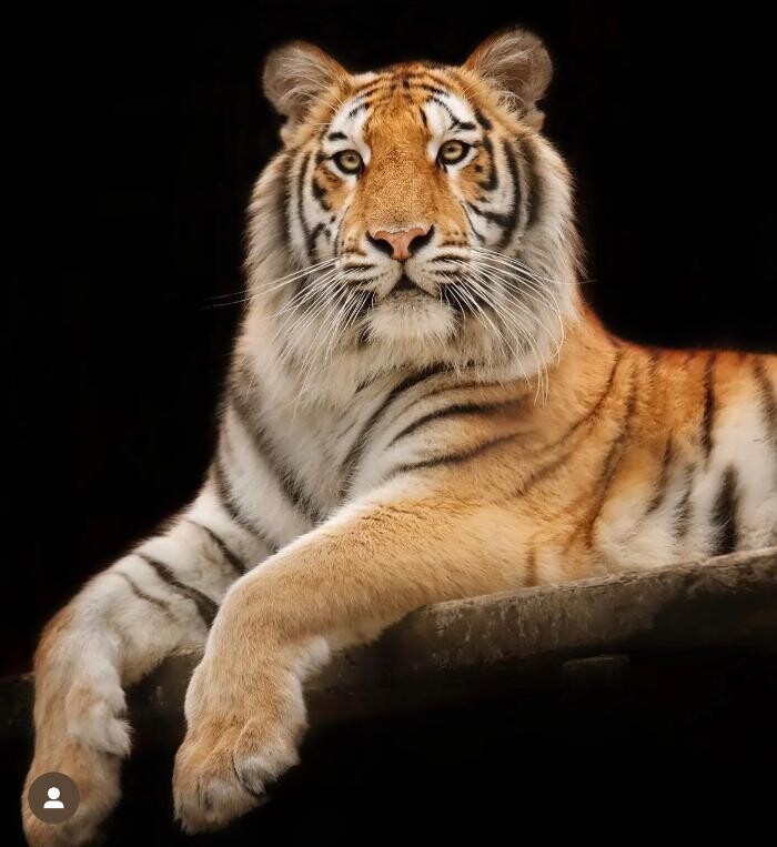 Bilder Tierpark Nadermann