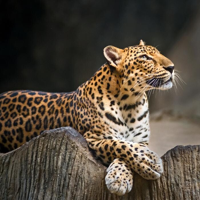 Bilder Tierpark Nadermann
