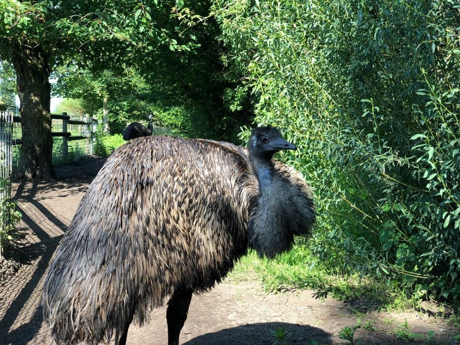 Bilder Tierpark Nadermann