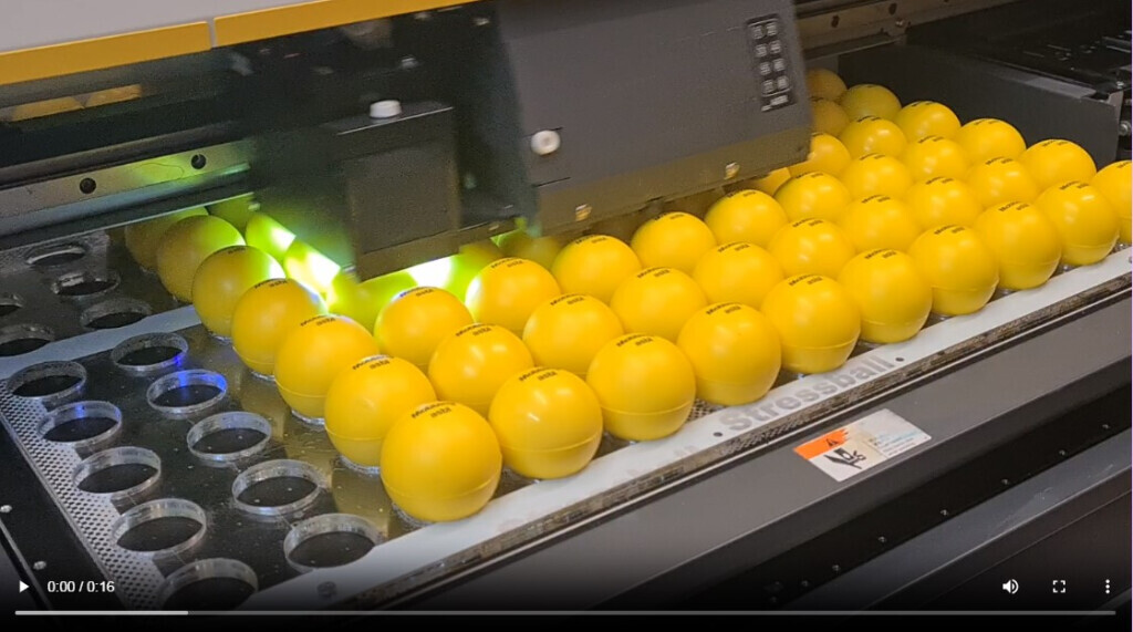 Bilder BS Deutschland GmbH