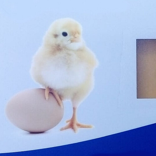 Bilder BS Deutschland GmbH