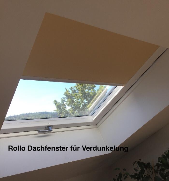Bilder PETRY Sicht- und Sonnenschutz