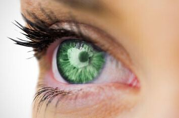 Bilder Naturheilpraxis Frankfurt - Heilpraktikerin Sylvia Domack