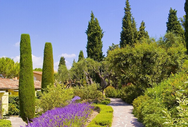 Bilder Die Reisegalerie GmbH