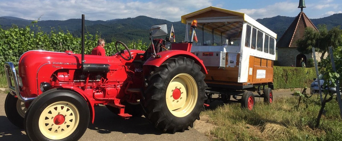 Bilder Weinhof Mößner