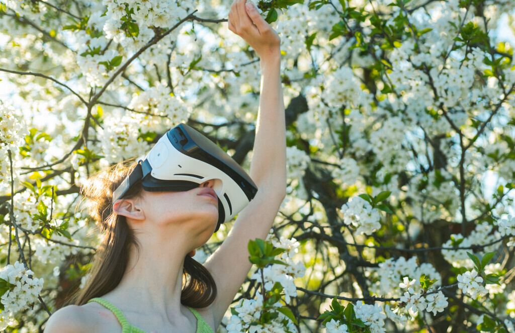 Bilder Ehm Garten- und Landschaftsgestaltung