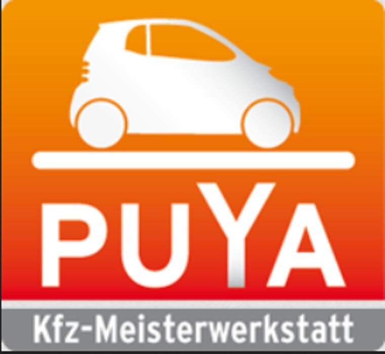 Auto Service Puya Logo