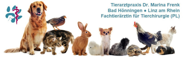 Bilder Tierarztpraxis Dr. Marina Frenk Fachtierärztin für Tierchirurgie