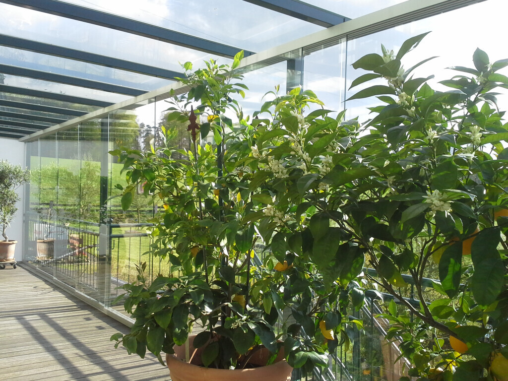 Bilder Ideen Aus Stahl - Schlosserei u. Zaunbau