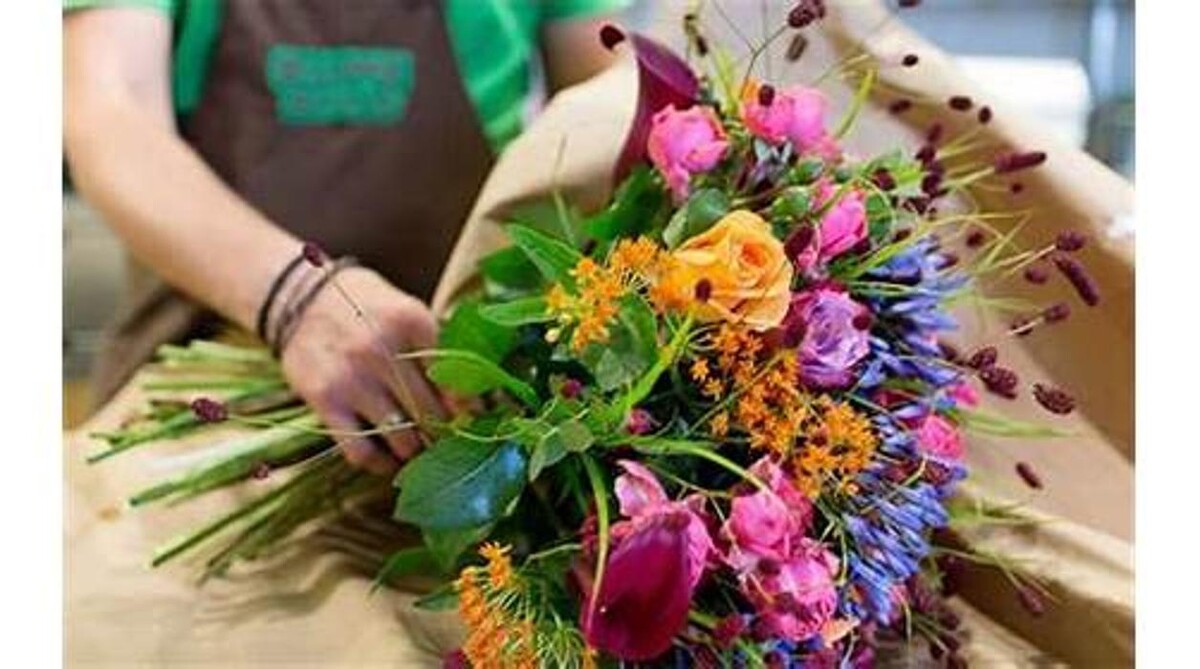 Bilder BLUME2000 Mainz Schusterstrasse