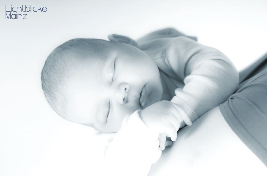 Bilder Fotostudio Lichtblicke Mainz