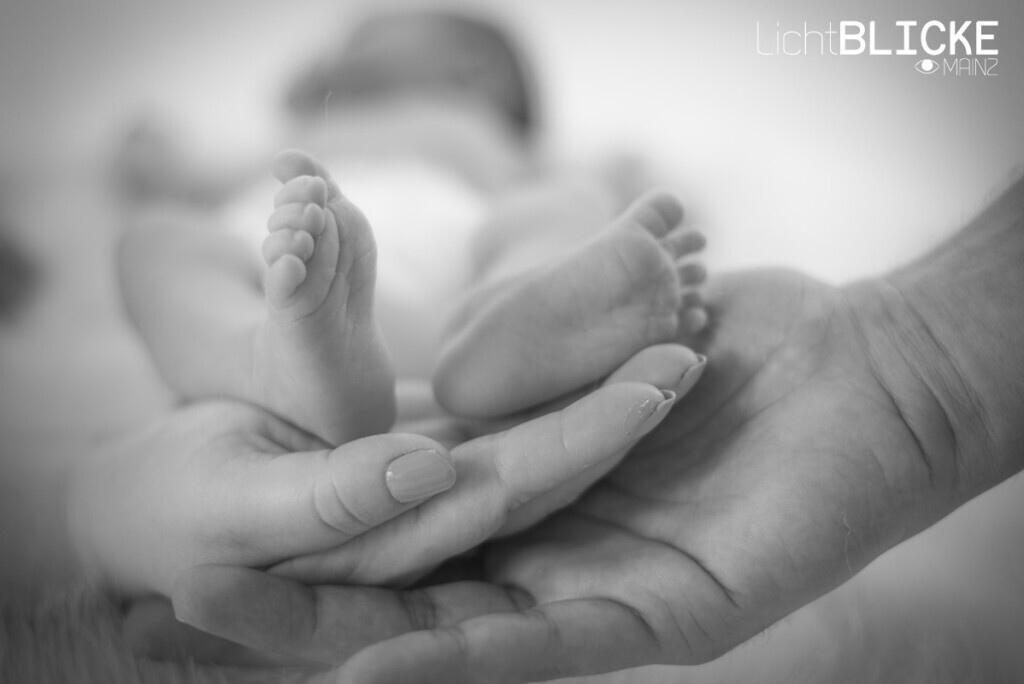 Bilder Fotostudio Lichtblicke Mainz