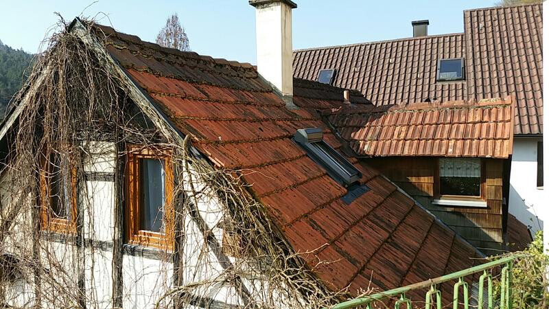 Bilder Rega GmbH Dachdecker