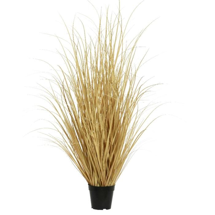 Bilder Ambiente Lichtkultur