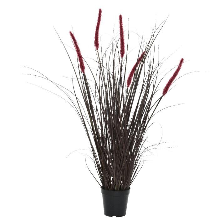 Bilder Ambiente Lichtkultur