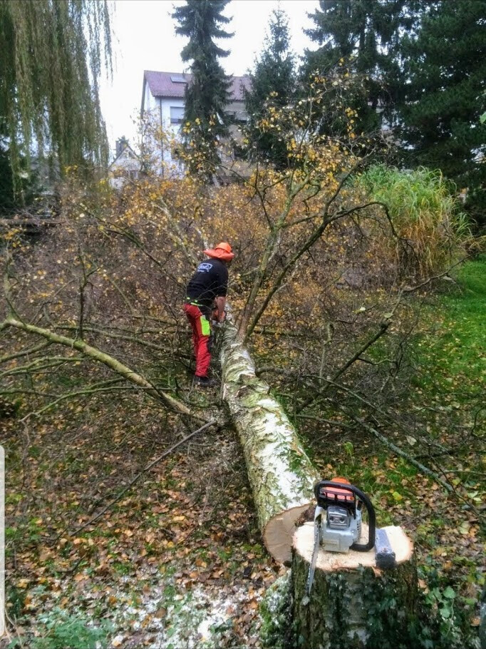 Bilder Brennholzhandel Mundinger