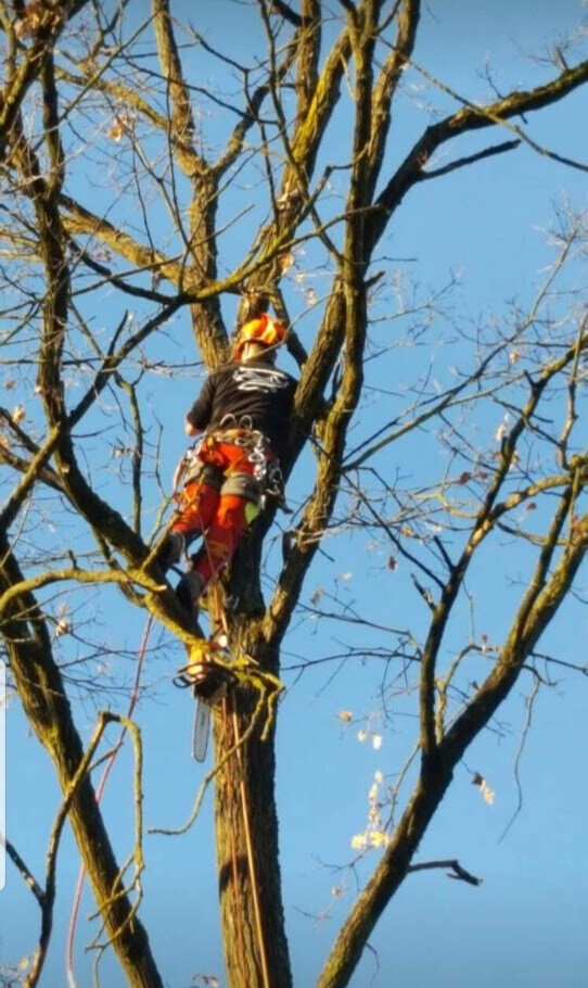 Bilder Brennholzhandel Mundinger