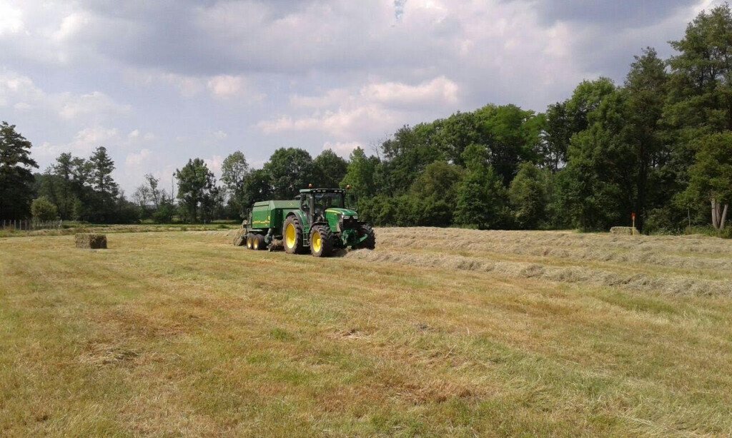 Bilder Brennholzhandel Mundinger