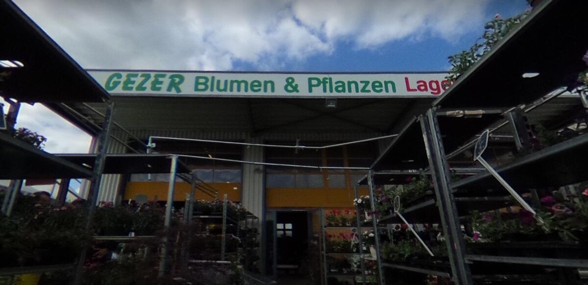 Bilder Blumen & Pflanzen Lagerverkauf Nadir Gezer