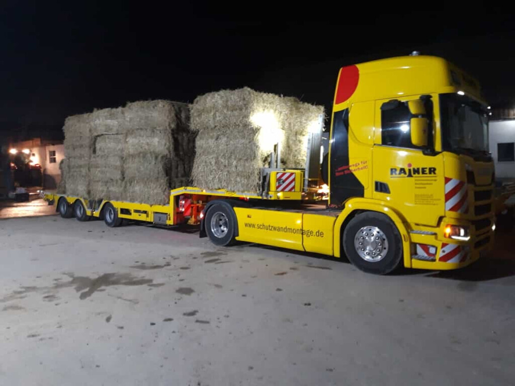 Bilder Rainer GmbH & Co. KG