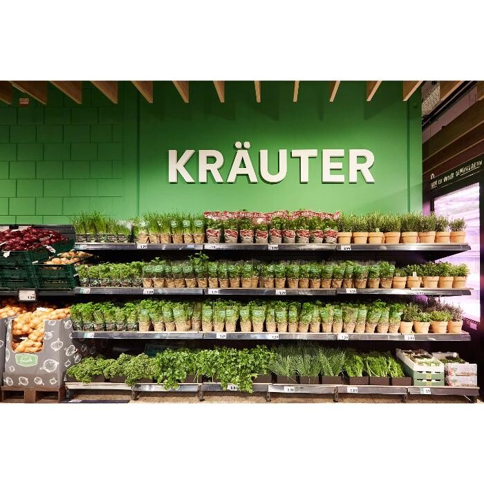 Bilder Kaufland Neckarsulm