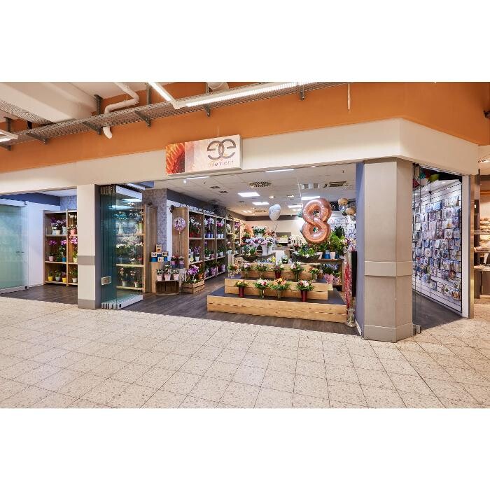 Bilder Kaufland Neckarsulm