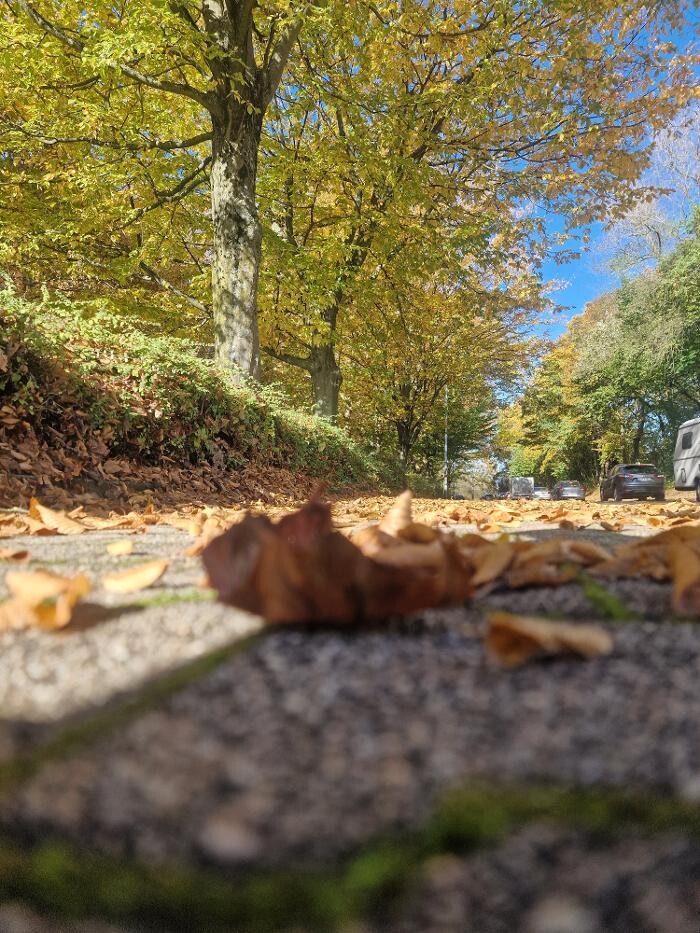 Bilder Zwitscherstube