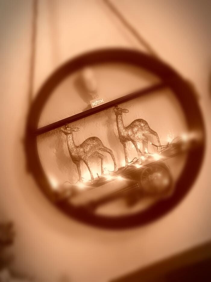 Bilder Zwitscherstube