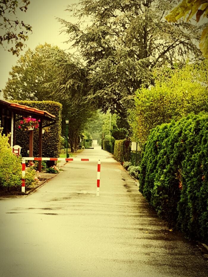 Bilder Zwitscherstube