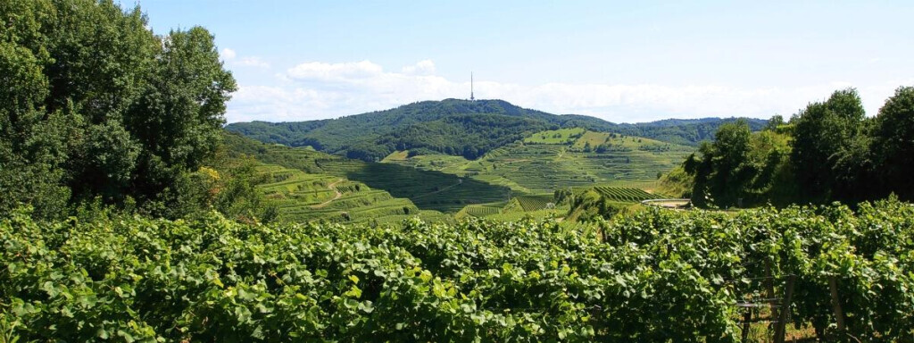 Bilder Hotel Landgasthof Sonne