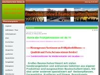 Screenshot for www.baumschule-gielow.de